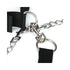 Lux Fetish Collar Cuffs & Leash Set