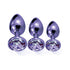 Nixie Metal Butt Plug Trainer Set 3-Piece Metallic