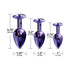 Nixie Metal Butt Plug Trainer Set 3-Piece Metallic