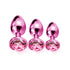 Nixie Metal Butt Plug Trainer Set 3-Piece Metallic