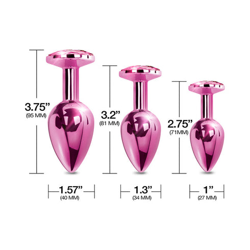 Nixie Metal Butt Plug Trainer Set 3-Piece Metallic