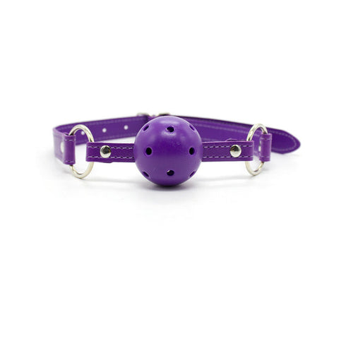 Ple'sur 12-Piece Everything Bondage Kit