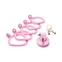 Master Series Vulva Locking Chastity Cage