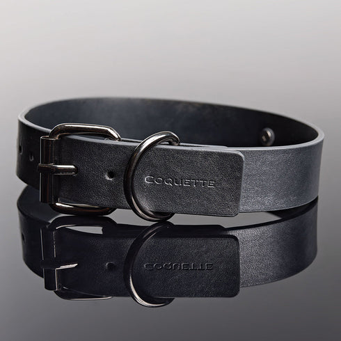 Adjustable Faux Leather with Removable Chain Leash