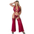 Magic Silk Black Cherry Plunge Top with Removable Chaps & Cheeky Panty Set