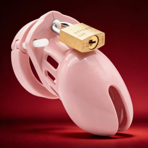 CB-6000S Male Chastity Cage