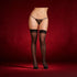 Dreamgirl Plus-Size Sheer Thigh-High Stockings With Plain Top and Back Seam Black Queen