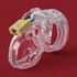 Mr Stubb Male Chastity