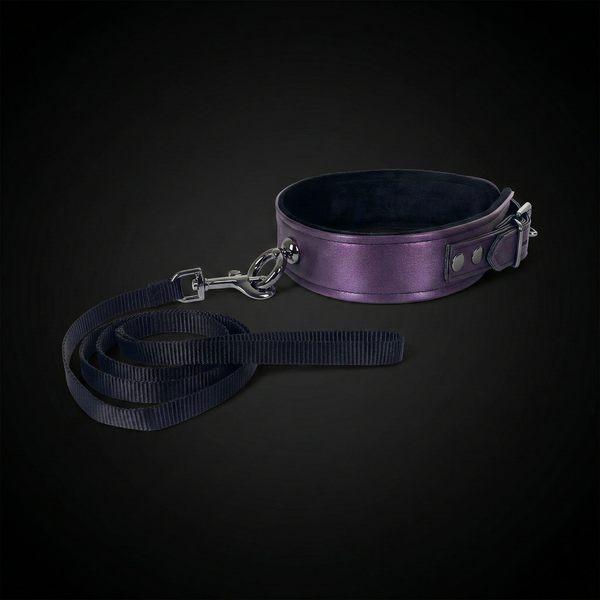 Galaxy Legend Collar and Leash Purple